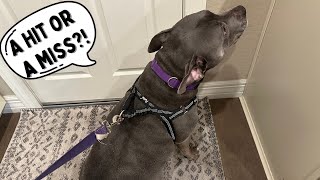 PUPTECK No Pull Dog Harness for Large Dogs, Adjustable Reflective Pet Vest Harness Review