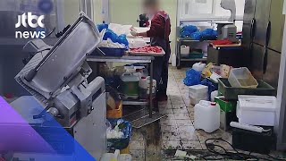 바닥에 고기 나뒹구는 곱창 공장…기가 막힌 단속반 / JTBC 아침&