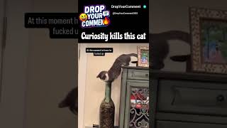 The pause was the time he knew he was cooked😂 #shorts