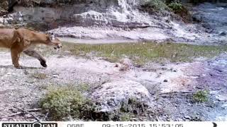 Gana Villa de Díaz Ordaz premio por conservación de la naturaleza