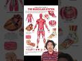 6 Body Systems You Should Know #shorts