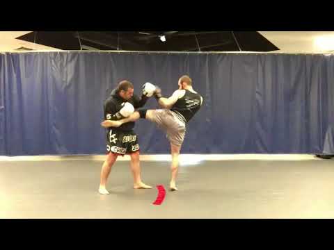 Switch Round Kick