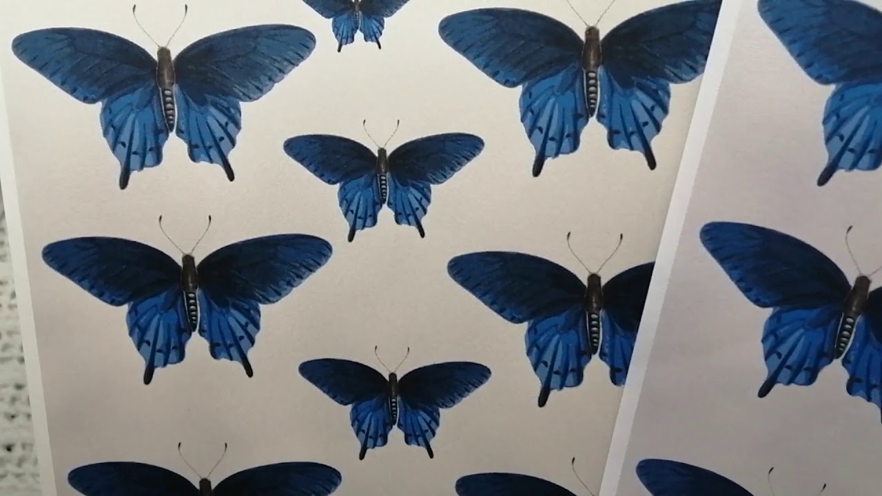 NCUK Digital Kits | EXCLUSIVE! | Fussy Cut Butterflies - Blue Collection | Show & Tell