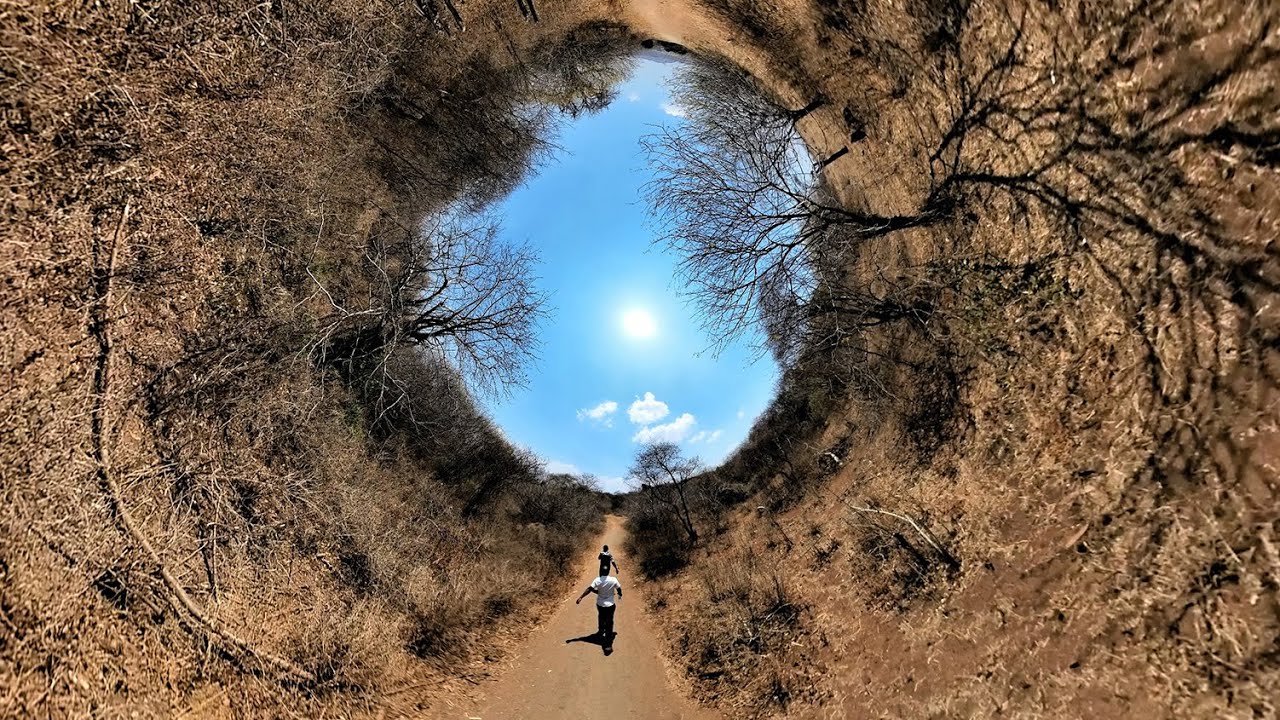 How Finance Builds Climate Resilience in Tanzania 🌱