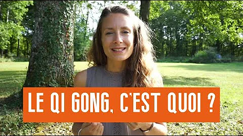 Quels sont les différents qi gong ?