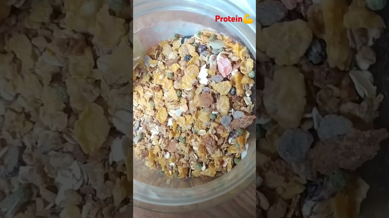 Protein🔥💪 