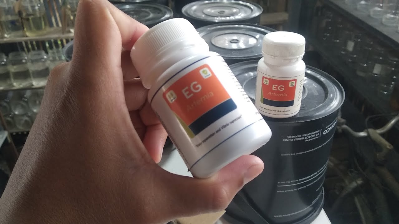 UNBOXING ARTEMIA PAKAN BURAYAK IKAN CUPANG ‼️