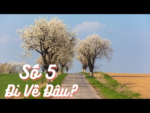 Video Số 5 Đi Về Đâu? 