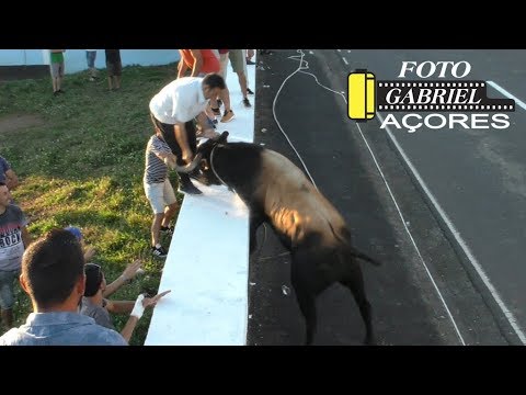 Tourada à corda nas Doze Ribeiras, 31 de julho de 2019