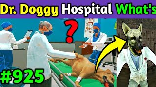 This Dog Is A Doctor Dr. Doggy Hospital #ddk #drdoggy screenshot 5