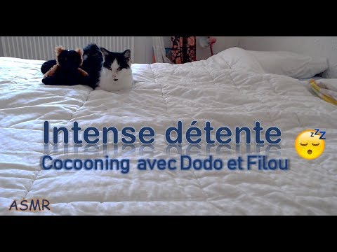 [ASMR français] Intense détente avec Dodo et Filou - time for sleep
