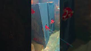 #remix #dj #electronicmusic #ringintone #love #automobile