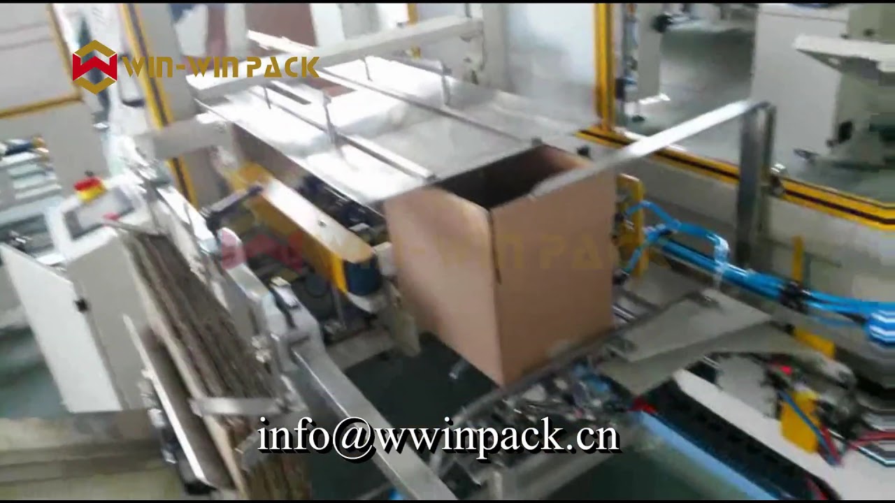 WIN-WIN PACK Case Erector Machine  12 cartons a minute