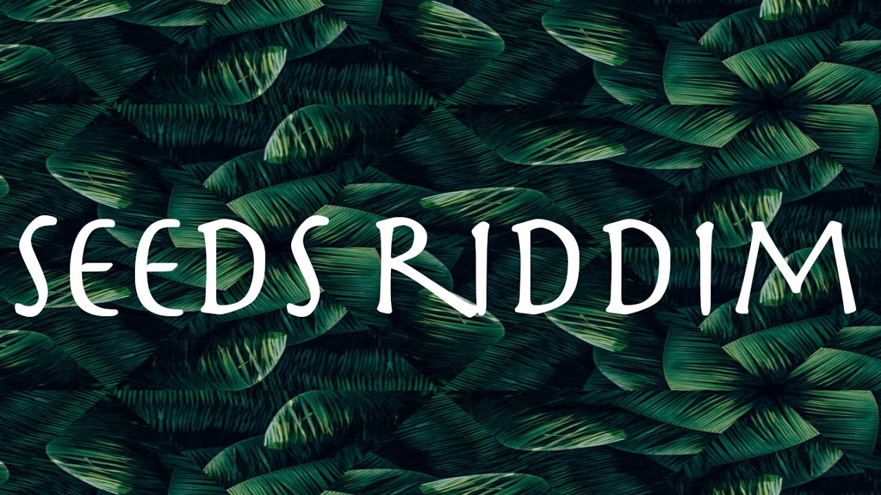 Seeds Riddim Instrumental (Dancehall / Reggae / RnB) - YouTube