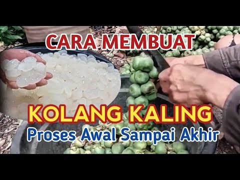Resep Buat Kolang Kaling