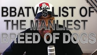 The Most Manly Dog Breeds - Bbatv Edition