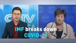 IMF breaks down COVID-19