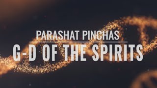 Parashat Pinchas 5782: G-d of the Spirits