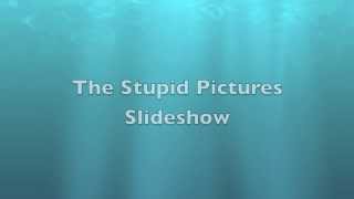 Slideshow of Stupid Pictures