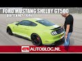 Ford Mustang Shelby GT500 rijtest: een ongetemd beest