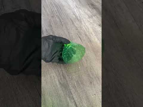 حطي الزجاجة في البلاعةقبل شهر رمضان اختراع مدهش سباك ابن حلال قالي عليها يارتني عرفتها من زمان