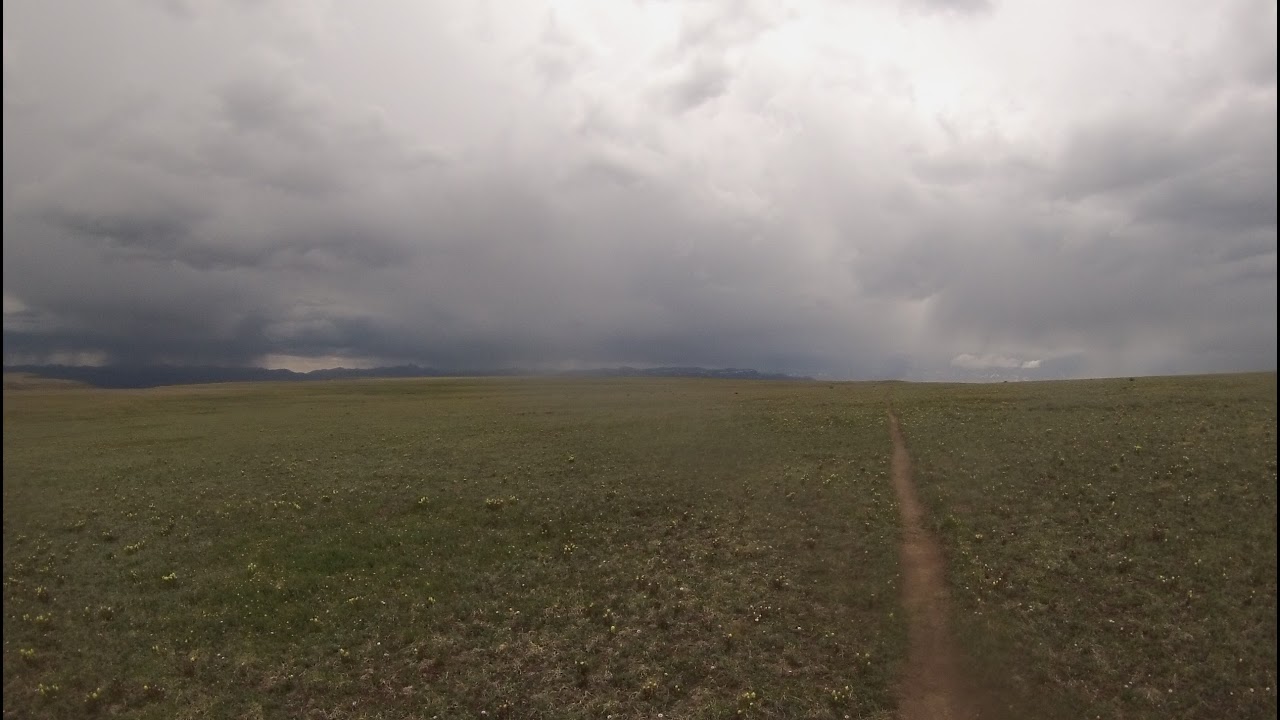 January 16 2-26 C# minor