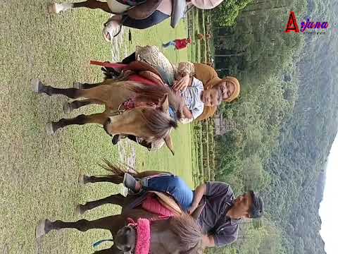 BERKUDA NAIK GUNUNG(arjuna \u0026 kakak satria berkuda digedong songo)