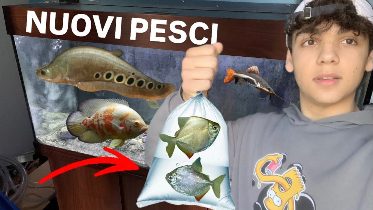 Westin / Pesca / Prodotti Per La Caccia E La Pesca