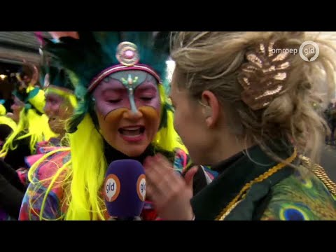 Carnaval in Gelderland 22 februari 2020 - Optocht Klarenbeek (compilatie)