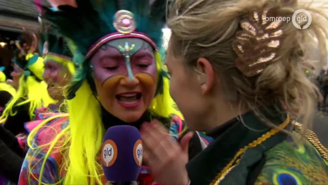 Carnaval in Gelderland 22 februari 2020 - Optocht Klarenbeek (compilatie)