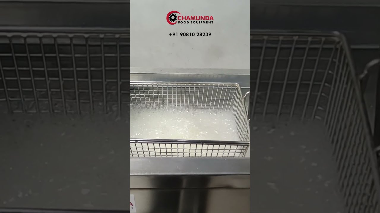 ELECTRIC DEEP FRYER / ELECTRIC FRYER  