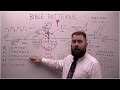 Bible Patterns