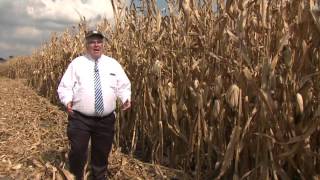 WQAD News 8 - Falling Farmland Prices in Iowa