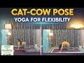 Cat and Cow | Back pain, stiffness aur stress ko bolo bye | wellness_by_reema