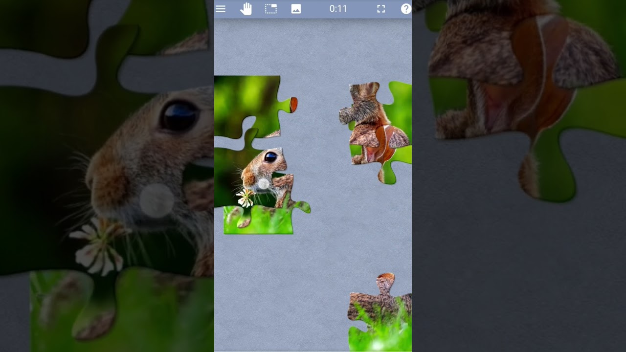 KELINCI LUCU PUZZLE | 