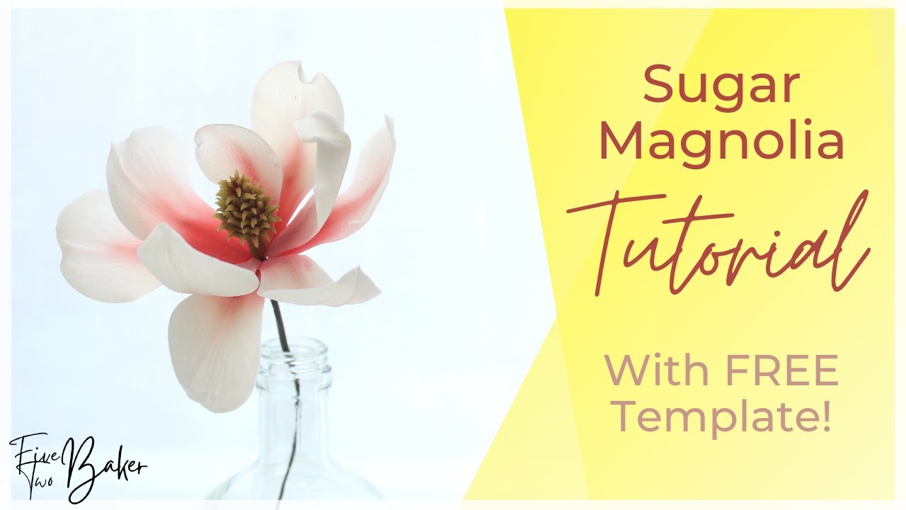 Sugar Flower Magnolia Tutorial: How to Make a Gumpaste Magnolia Cake Topper