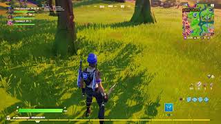 Another unearned win for the books | Fortnite
