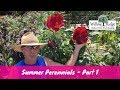 Summer Blooming Perennials - Part 1 Summer Blooming Perennials - Part 1