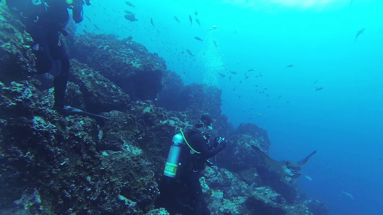Galápagos Diving GoPro Galapagos Sky YouTube