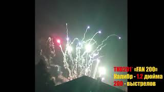 Батарея салютов TKB291* FAN200 2020