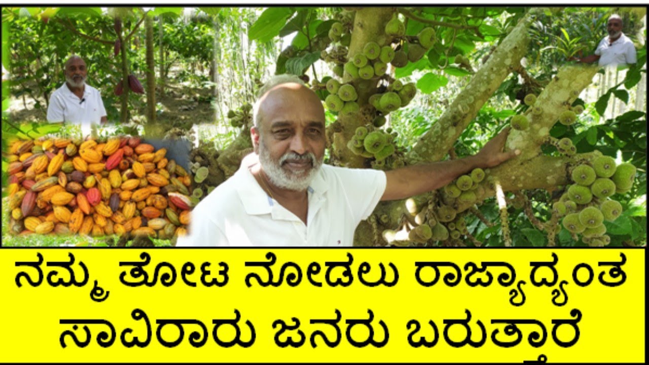 ಅಡಿಕೆ ಬೆಳೆಗಿಂತ ಕೋಕೋ,ಏಲಕ್ಕಿ ಮತ್ತು ಕಾಫಿ ಬೆಳೆಯಲ್ಲಿ ಉತ್ತಮ ಆದಾಯವಿದೆ