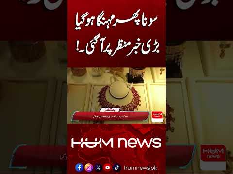 Gold Prices Rise Again | Hum News | Pakistan