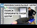 Миофасциальные цепи. Поиск приоритетной цепи. Прикладная кинезиология