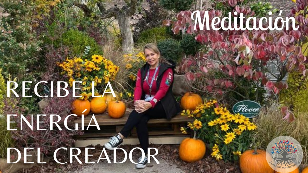MEDITACIÓN || RECIBE LA ENERGA DEL CREADOR - YouTube