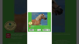 Horse Lovers  2026 Desktop Box Calendar  New Page Every Day