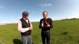 Milk Urea Nitrogen and rumen dysfunction