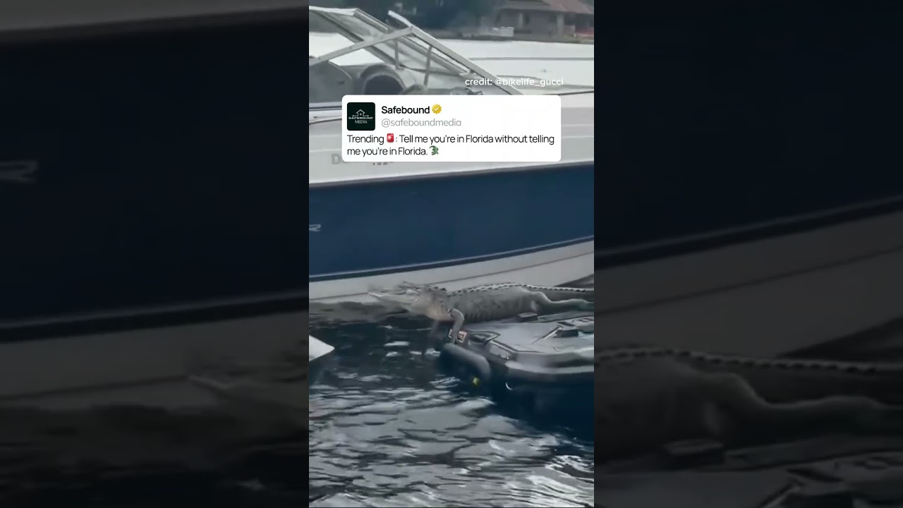 Man Finds Baby Alligator on Jet Ski in Florida! (Plot Twist) 🐊  Just out here trying to catch some