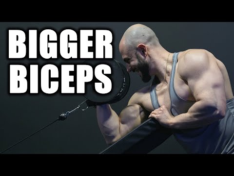 Video: one arm dumbbell hammer preacher curl