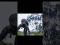 The Giant Python Attack 🐍😱 | Movie Scene #shorts#shortsfeed #movie