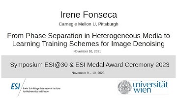 Irene Fonseca - From Phase Separation in Heterogeneous Media to Learning Training Schemes